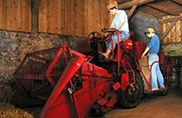 Im Bauernhofmuseum